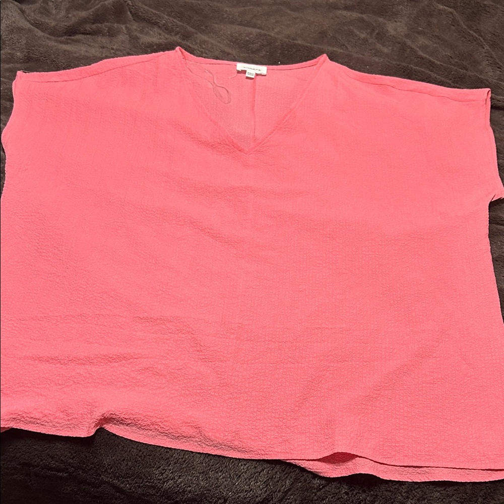 Pink V-Neck Blouse — GENTLY USED!
